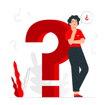 Transia Services Seo Electronics